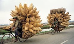 Workers transporting goods