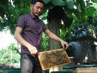 Beekeeper Tran Xuan Phong