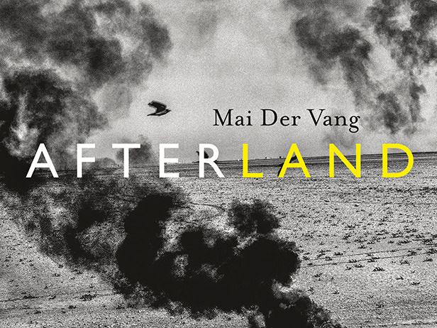 Book Review: Afterland