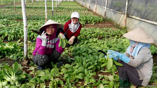 Vietnamese women workers