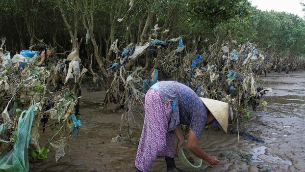 Waste in mangrove
