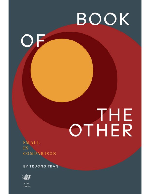 book of the other book cover